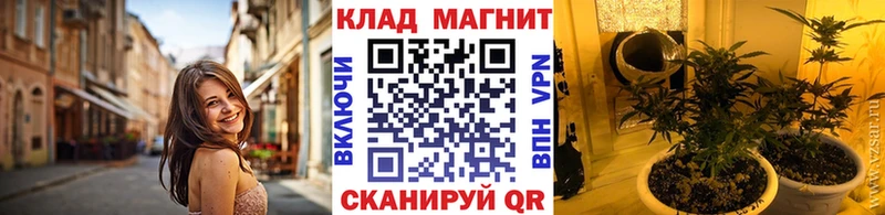 Цена Новосибирск ГАШ Cocaine Alpha PVP Бошки Шишки Псилоцибиновые грибы МЕФ