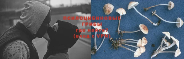 дмт Волоколамск